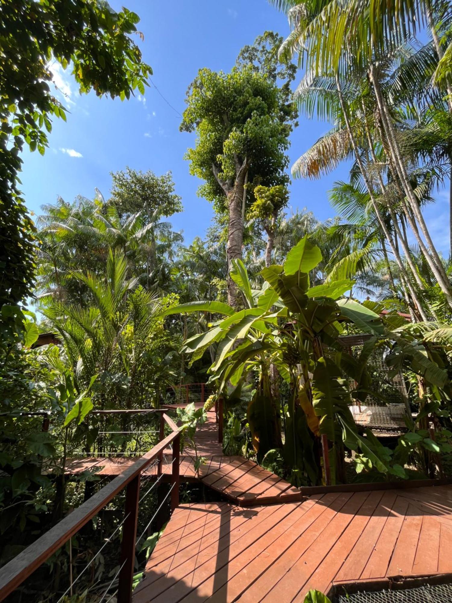 Olaria River Hostel Belém Esterno foto